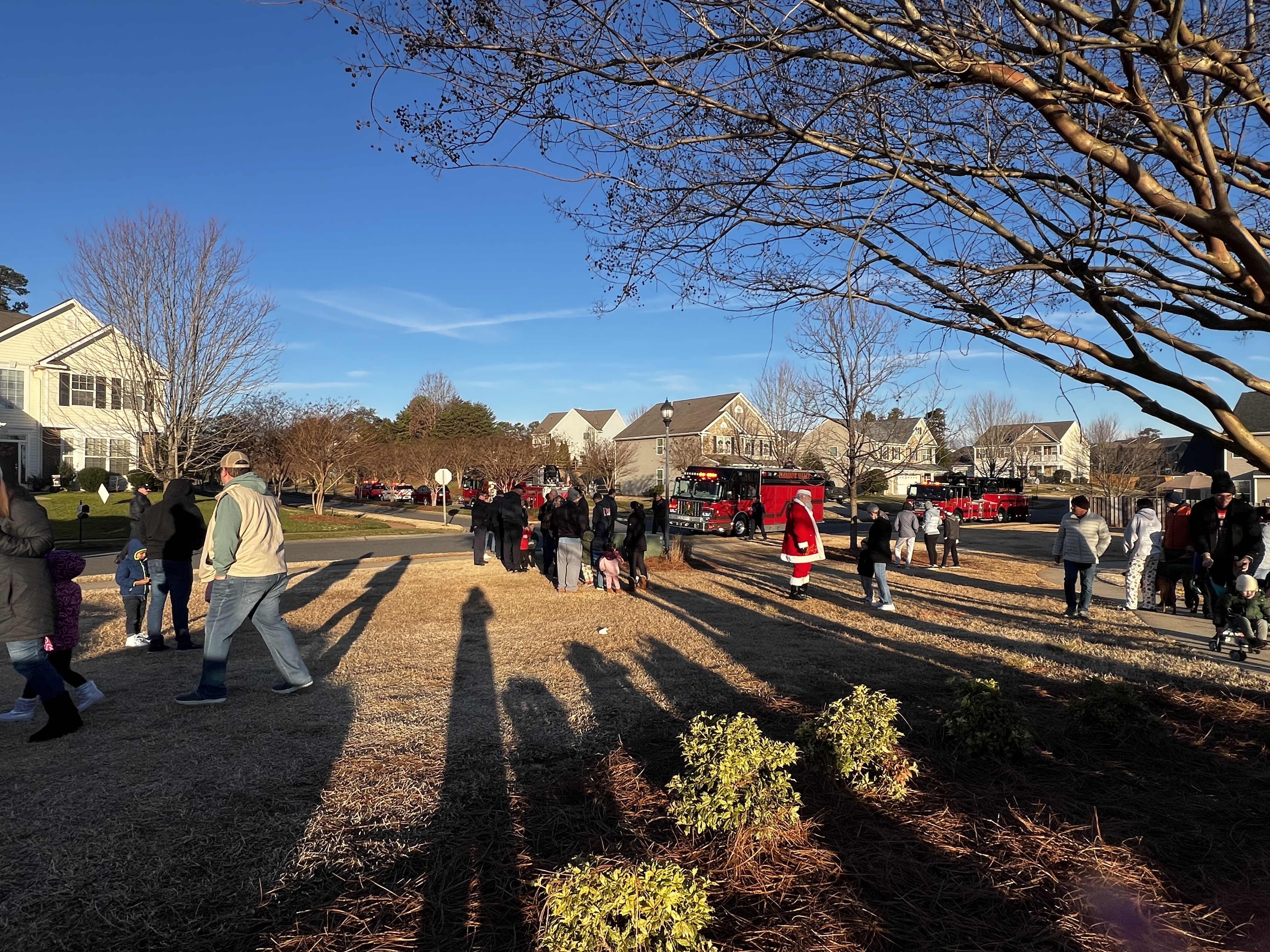 IMG_5145.jpeg IMG_5145.jpeg